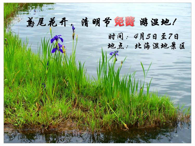 201706211019069139.jpg